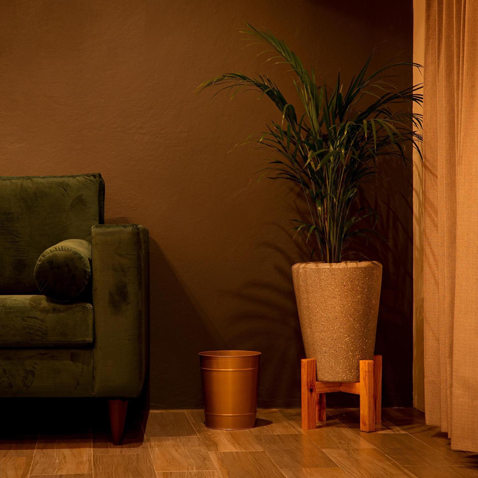 Na Hotel San Cristóbal de Las Casas Dış mekan fotoğraf